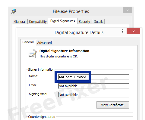 Screenshot of the Ant.com Limited certificate